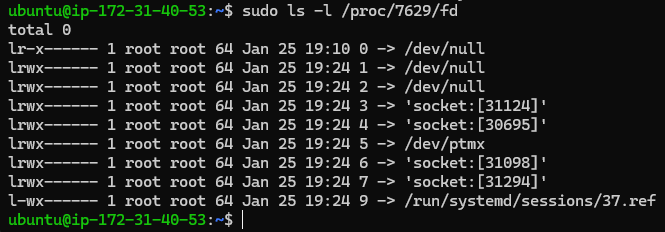 SSH proc fd root
