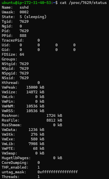 SSH strace proc status 7629