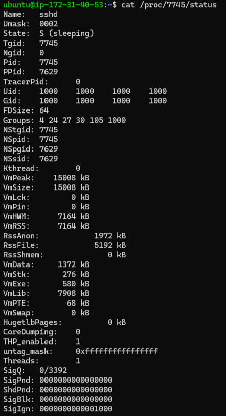 SSH strace proc status 7745